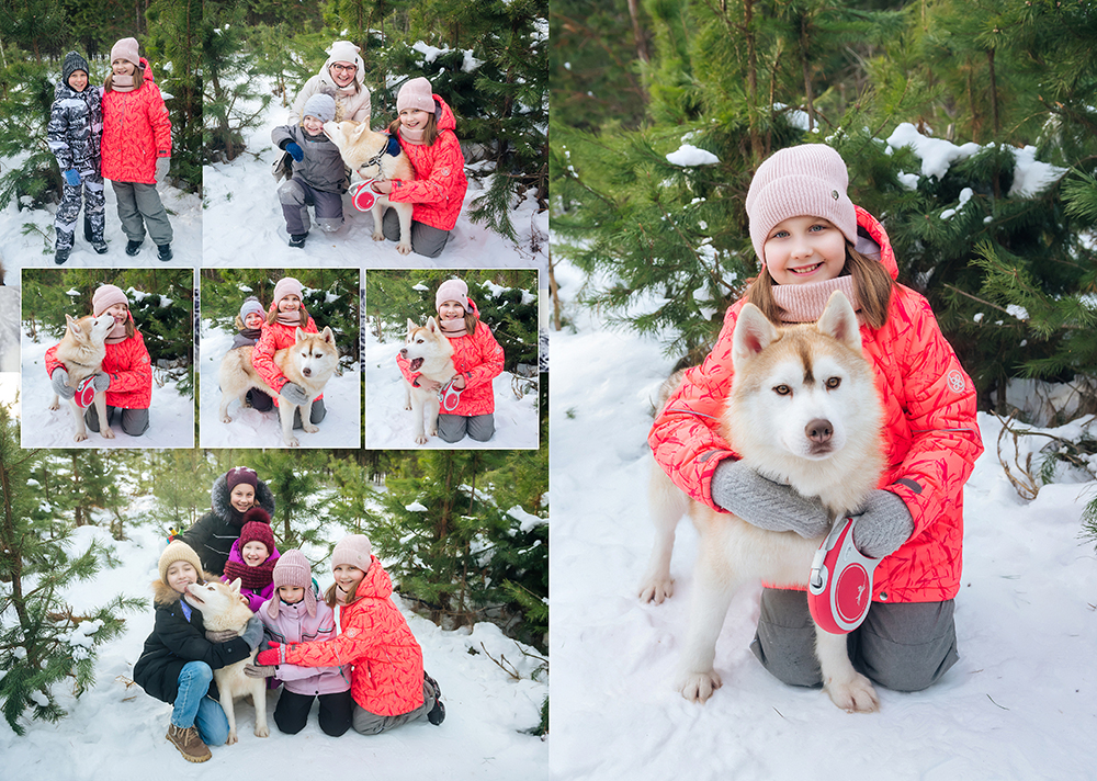 выпускной альбом содержит зимнюю фотосессию с  Хаски. Опытный фотограф с собаками.